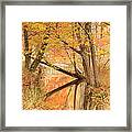 Autumn Stream Framed Print