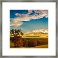 Autumn Trees Framed Print