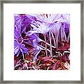 Autumn Water Lily Crocus Framed Print