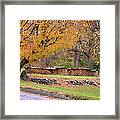 Autumn Woodpile Framed Print