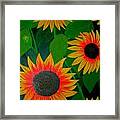 Badsunflower Framed Print