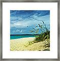 Bahamas Afternoon Framed Print