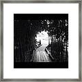 #bamboo #plants #path #tunnel Framed Print