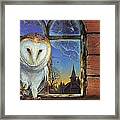 Barn Owls Finds A Home Framed Print