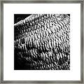 Basket Weave Framed Print