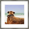 Beach Blanket Tugboat Framed Print