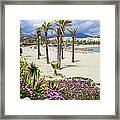 Beach In Puerto Banus Framed Print