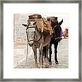 Beasts Of Burden Framed Print