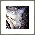 Beautiful Eye That Comes From Above Framed Print
