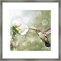 Beauty In Flight Framed Print