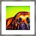 Beefy Girl In Bright Colors Framed Print