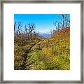 Belleayre Trail In Late Fall Framed Print