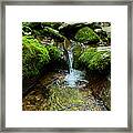 Between The Moss Framed Print