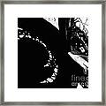 Bikers View Framed Print