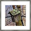 Bird House Framed Print