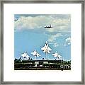 Bird Of Freedom Framed Print