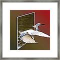 Bird Oof Framed Print