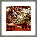 Birds In A Box Framed Print