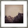 Birdy Framed Print