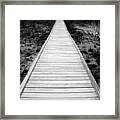 Black And White Boardwalk Framed Print