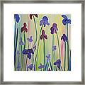 Blooming Irises Framed Print