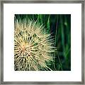 Blow Me Framed Print