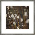 Blowing In The Wind Framed Print