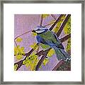 Blue Bird Framed Print