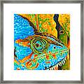 Blue Chameleon Framed Print