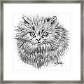 Blue Eyes Framed Print