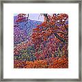 Blue Ridge Range With Autumn Deciduous Framed Print