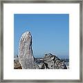 Blue Sky Coastal Landscape Driftwood Rock Pier Framed Print