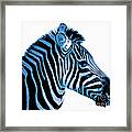 Blue Zebra Art Framed Print