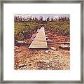 Boardwalk Framed Print