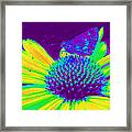 Boldness In Nature Framed Print