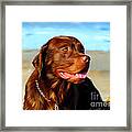 Bosco At The Beach Framed Print by Michelle Wrighton