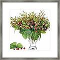 Bouquet From  Wild  Strawberry Framed Print