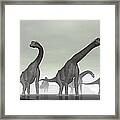 Brachiosaurus Framed Print