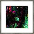 Branches Of The Past Framed Print