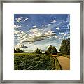 Broemmelsiek Park Walking Track Framed Print