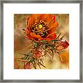 Buckhorn Cholla 2 Framed Print