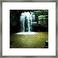 Buderim Forest Park 02/06/2012 #qld Framed Print