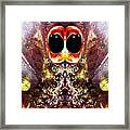 Eyes Framed Print