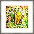 #bug In My #garden #webstagram Framed Print