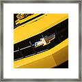 Bumble Bee Grill-7921 Framed Print