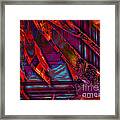 Bursting Out Of The Frame Framed Print