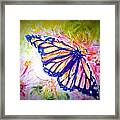 Butterfly Beauty 3 Framed Print