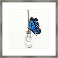 Butterfly On A Lightbulb Framed Print
