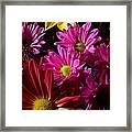 Cacophony Of Color Framed Print