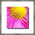 Cafe On Louèe, Close Up #macro Framed Print